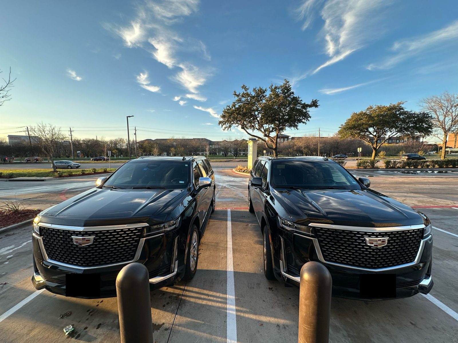 Two Cadillac Escalades